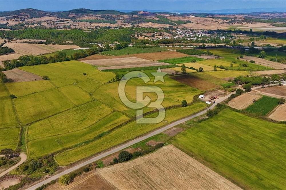 ÇANAKKALE BİGA DA YOLA CEPHE FIRSAT TARLA