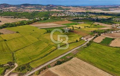ÇANAKKALE BİGA DA YOLA CEPHE FIRSAT TARLA