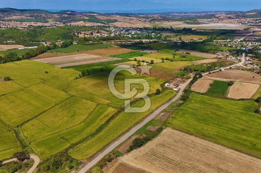 ÇANAKKALE BİGA DA YOLA CEPHE FIRSAT TARLA