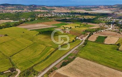 ÇANAKKALE BİGA DA YOLA CEPHE FIRSAT TARLA