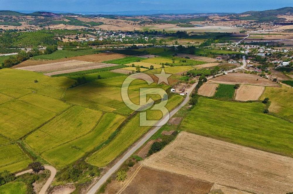 ÇANAKKALE BİGA DA YOLA CEPHE FIRSAT TARLA