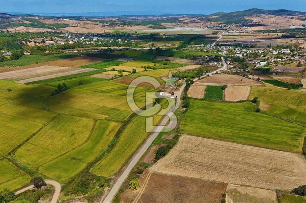 ÇANAKKALE BİGA DA YOLA CEPHE FIRSAT TARLA