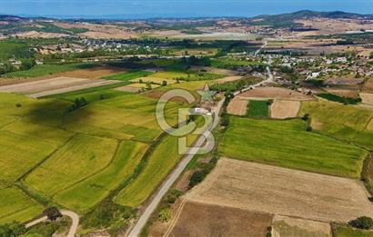 ÇANAKKALE BİGA DA YOLA CEPHE FIRSAT TARLA