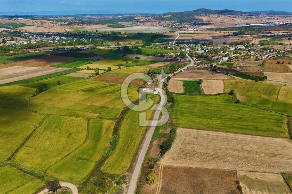 ÇANAKKALE BİGA DA YOLA CEPHE FIRSAT TARLA