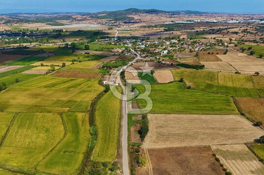 ÇANAKKALE BİGA DA YOLA CEPHE FIRSAT TARLA