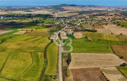 ÇANAKKALE BİGA DA YOLA CEPHE FIRSAT TARLA