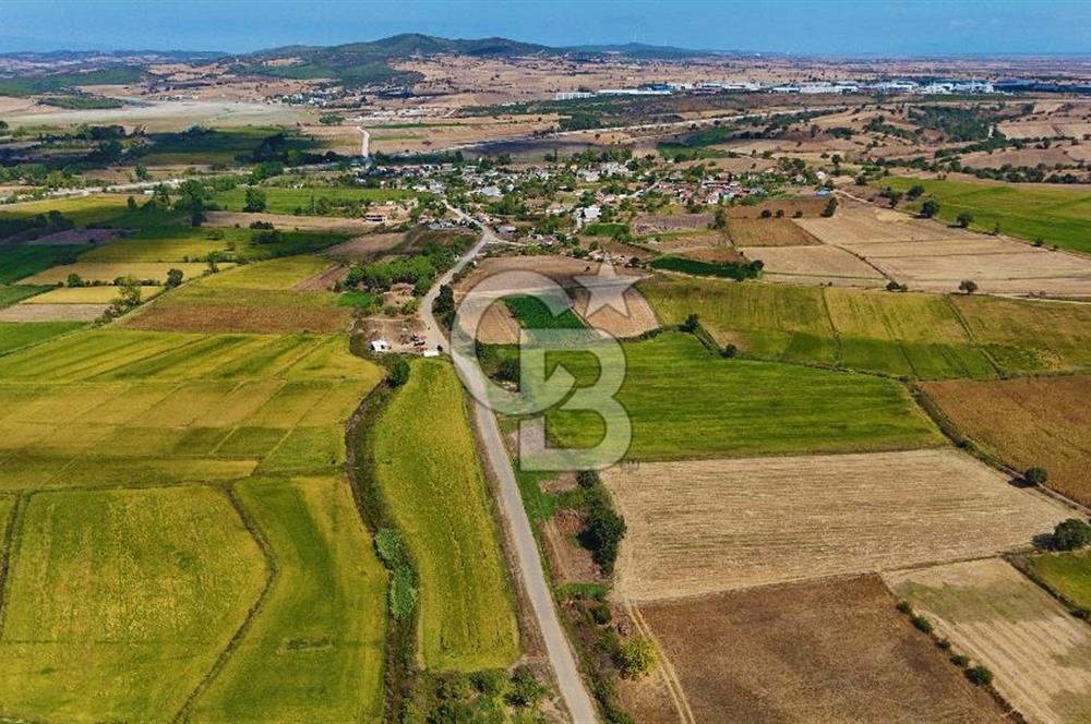 ÇANAKKALE BİGA DA YOLA CEPHE FIRSAT TARLA