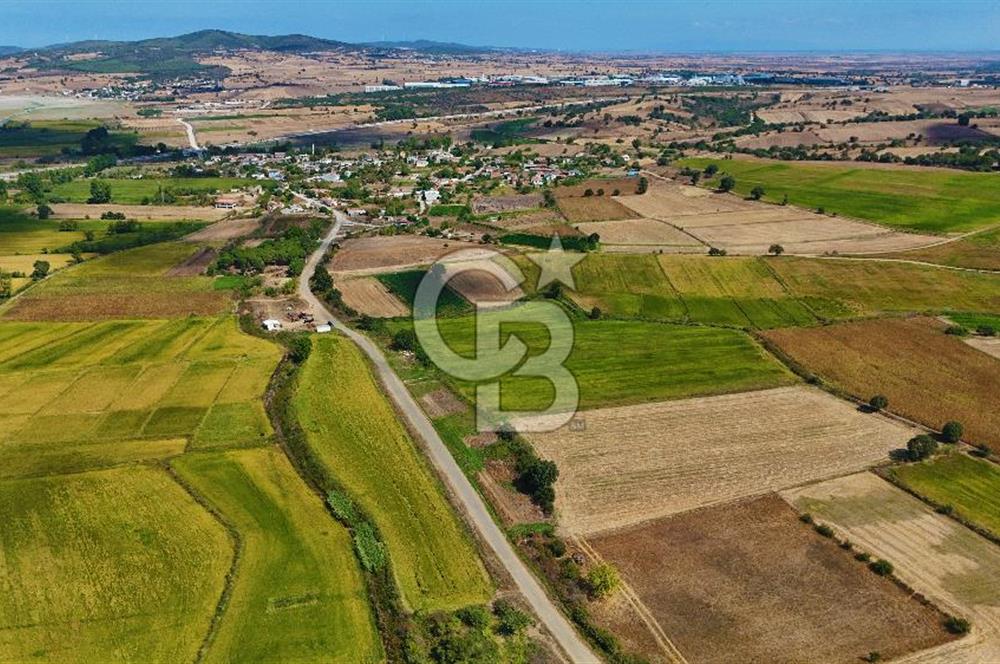 ÇANAKKALE BİGA DA YOLA CEPHE FIRSAT TARLA