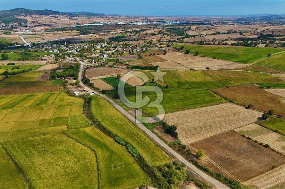 ÇANAKKALE BİGA DA YOLA CEPHE FIRSAT TARLA