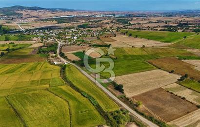 ÇANAKKALE BİGA DA YOLA CEPHE FIRSAT TARLA