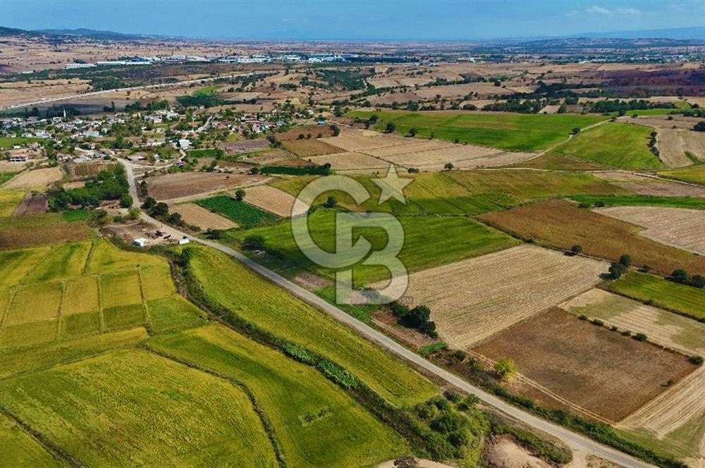 ÇANAKKALE BİGA DA YOLA CEPHE FIRSAT TARLA