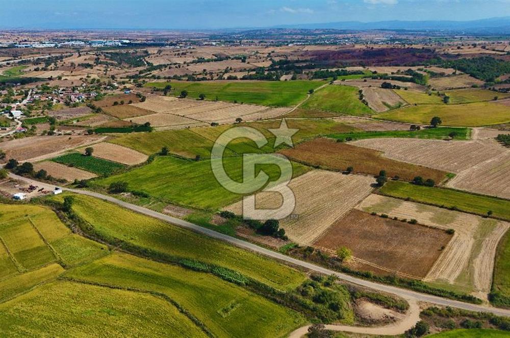 ÇANAKKALE BİGA DA YOLA CEPHE FIRSAT TARLA