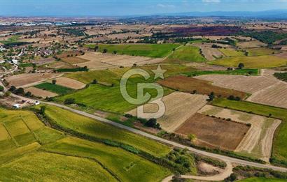 ÇANAKKALE BİGA DA YOLA CEPHE FIRSAT TARLA