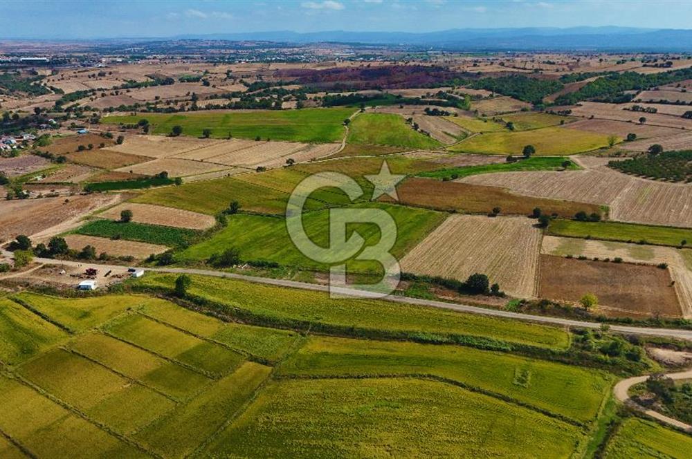 ÇANAKKALE BİGA DA YOLA CEPHE FIRSAT TARLA