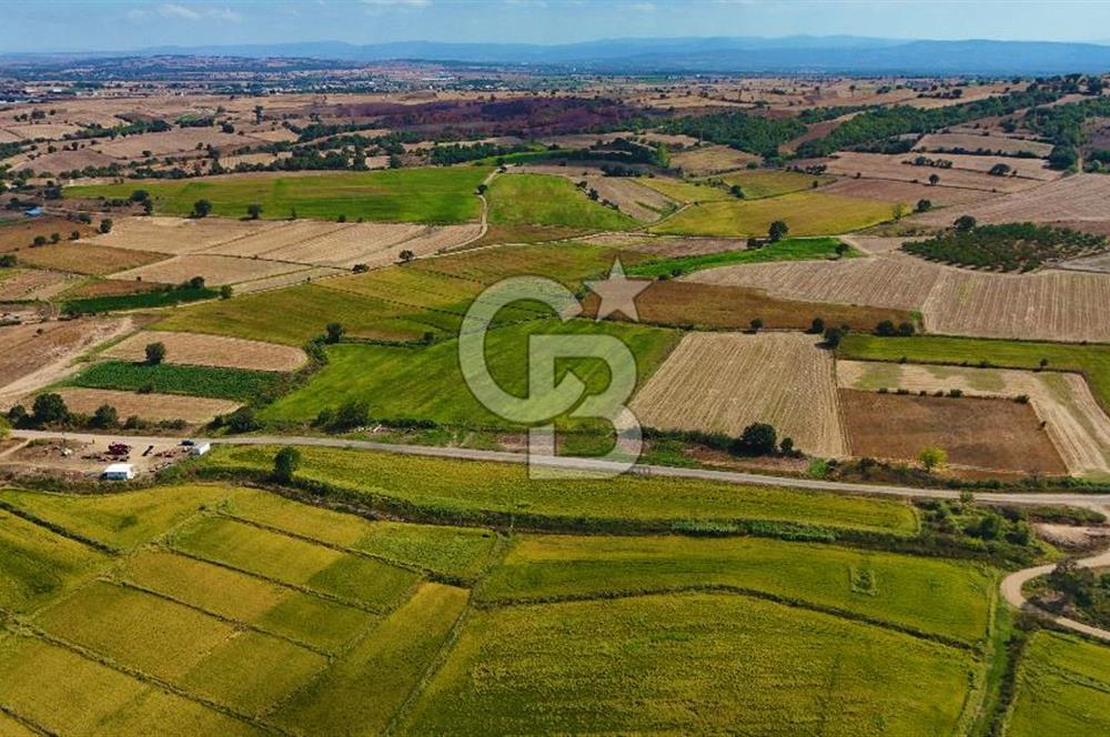 ÇANAKKALE BİGA DA YOLA CEPHE FIRSAT TARLA