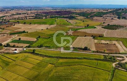 ÇANAKKALE BİGA DA YOLA CEPHE FIRSAT TARLA