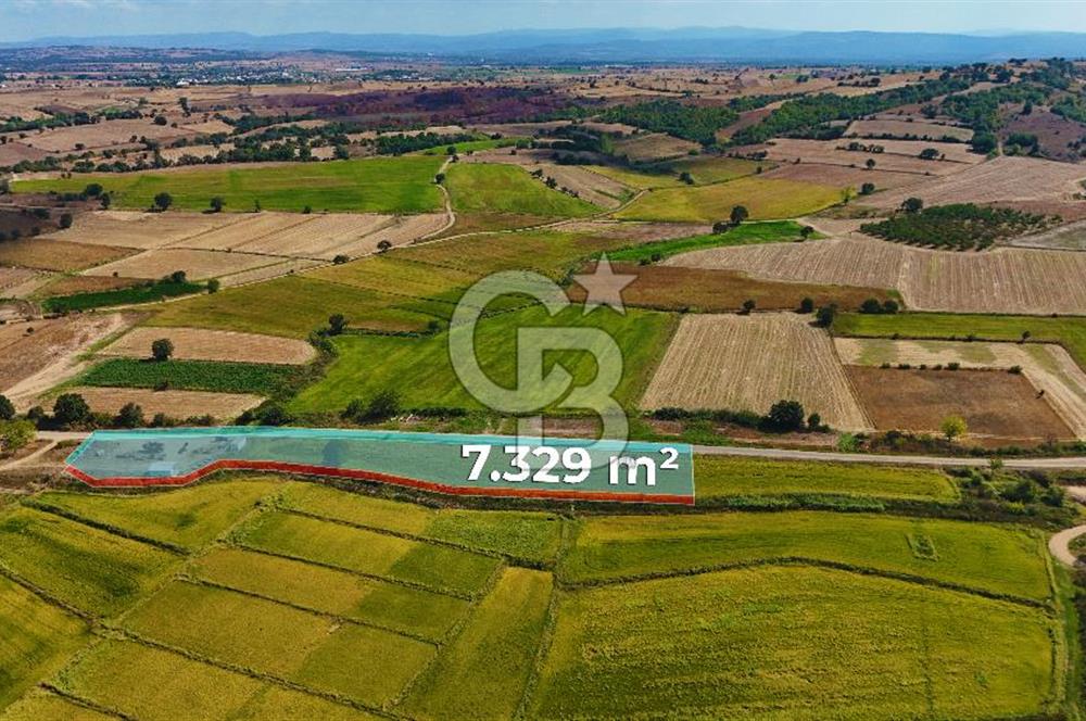 ÇANAKKALE BİGA DA YOLA CEPHE FIRSAT TARLA
