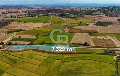 ÇANAKKALE BİGA DA YOLA CEPHE FIRSAT TARLA