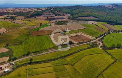 ÇANAKKALE BİGA DA YOLA CEPHE FIRSAT TARLA