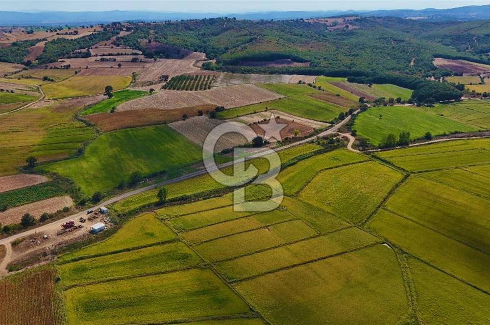 ÇANAKKALE BİGA DA YOLA CEPHE FIRSAT TARLA