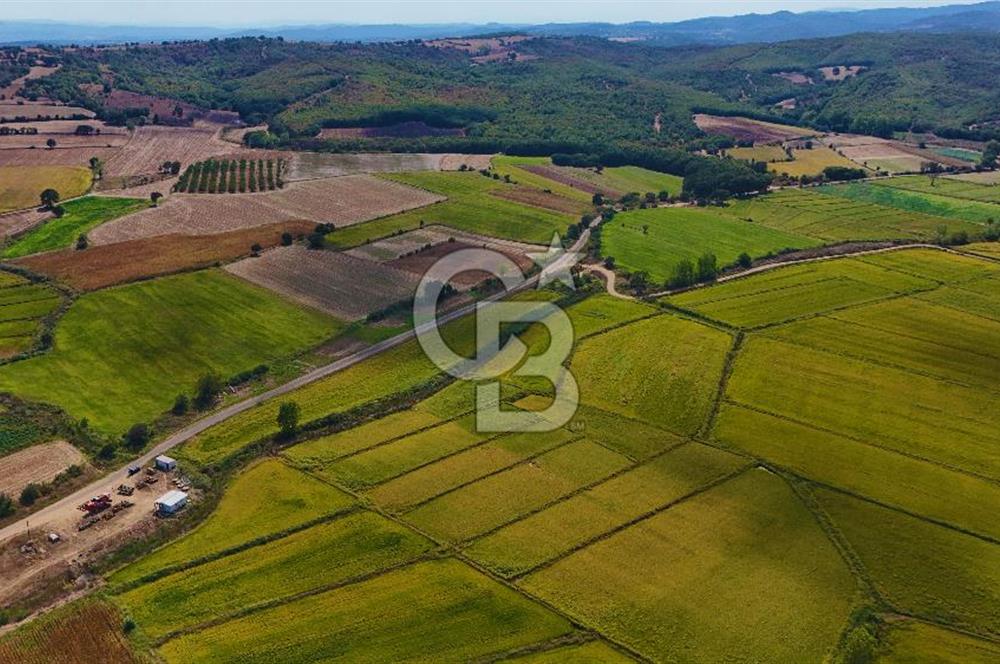 ÇANAKKALE BİGA DA YOLA CEPHE FIRSAT TARLA