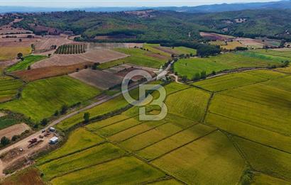 ÇANAKKALE BİGA DA YOLA CEPHE FIRSAT TARLA