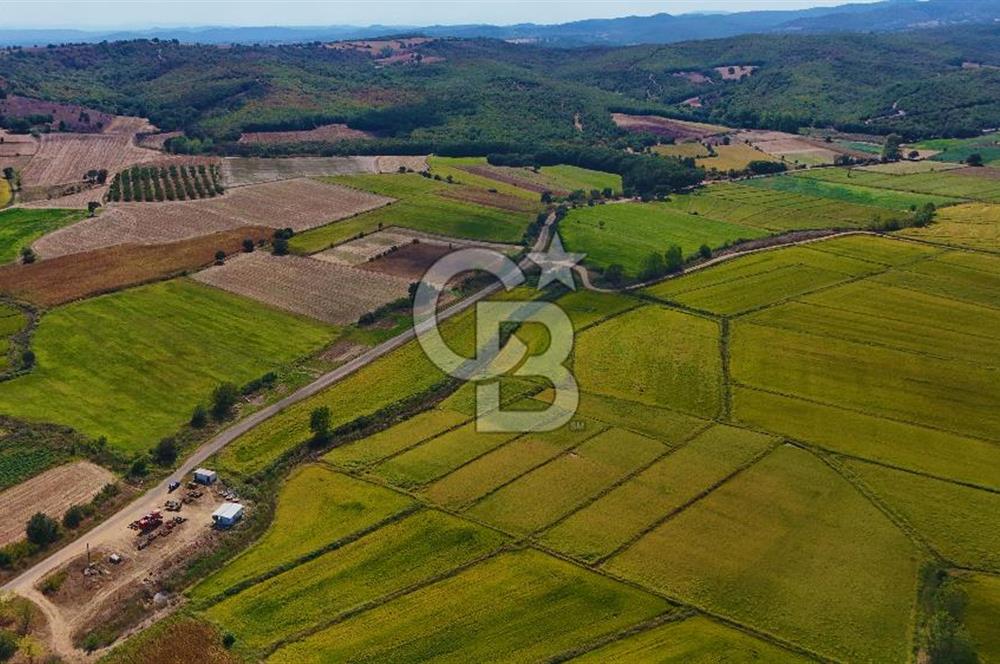 ÇANAKKALE BİGA DA YOLA CEPHE FIRSAT TARLA