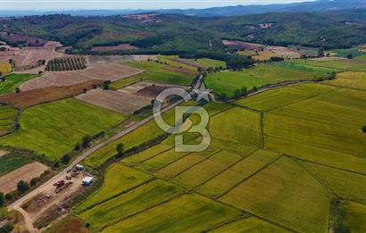 ÇANAKKALE BİGA DA YOLA CEPHE FIRSAT TARLA