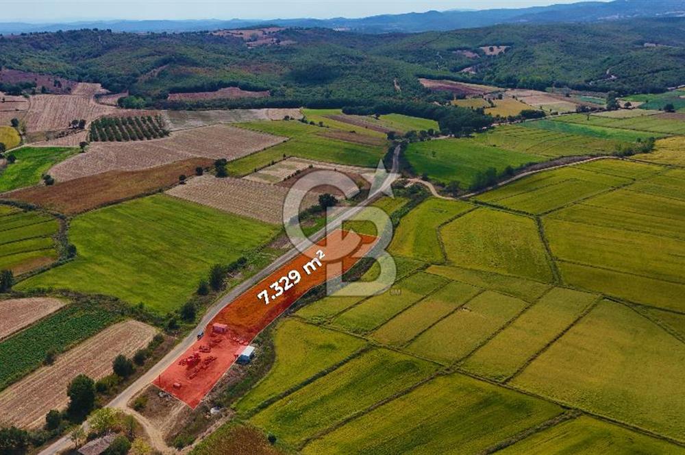 ÇANAKKALE BİGA DA YOLA CEPHE FIRSAT TARLA