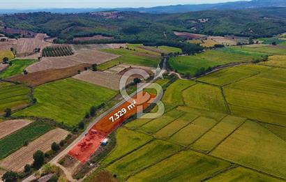ÇANAKKALE BİGA DA YOLA CEPHE FIRSAT TARLA
