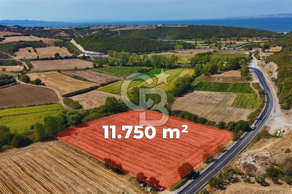ÇANAKKALE BİGA KEMER DE YOLA CEPHE SATILIK TARLA
