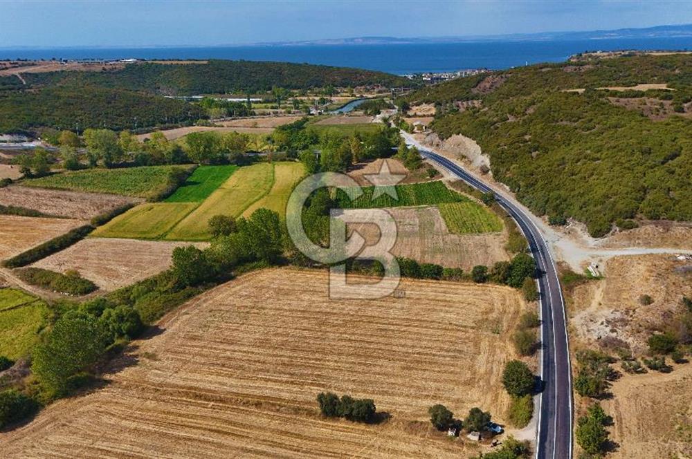 ÇANAKKALE BİGA KEMER DE YOLA CEPHE SATILIK TARLA