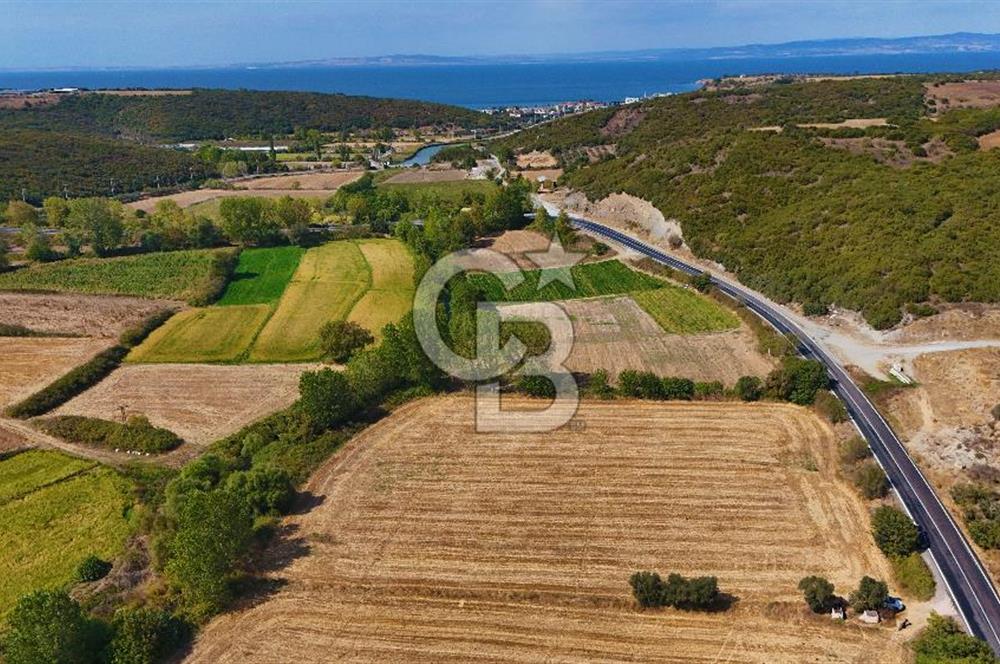 ÇANAKKALE BİGA KEMER DE YOLA CEPHE SATILIK TARLA
