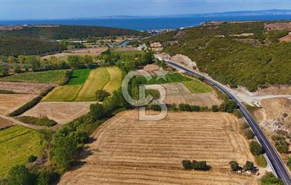 ÇANAKKALE BİGA KEMER DE YOLA CEPHE SATILIK TARLA