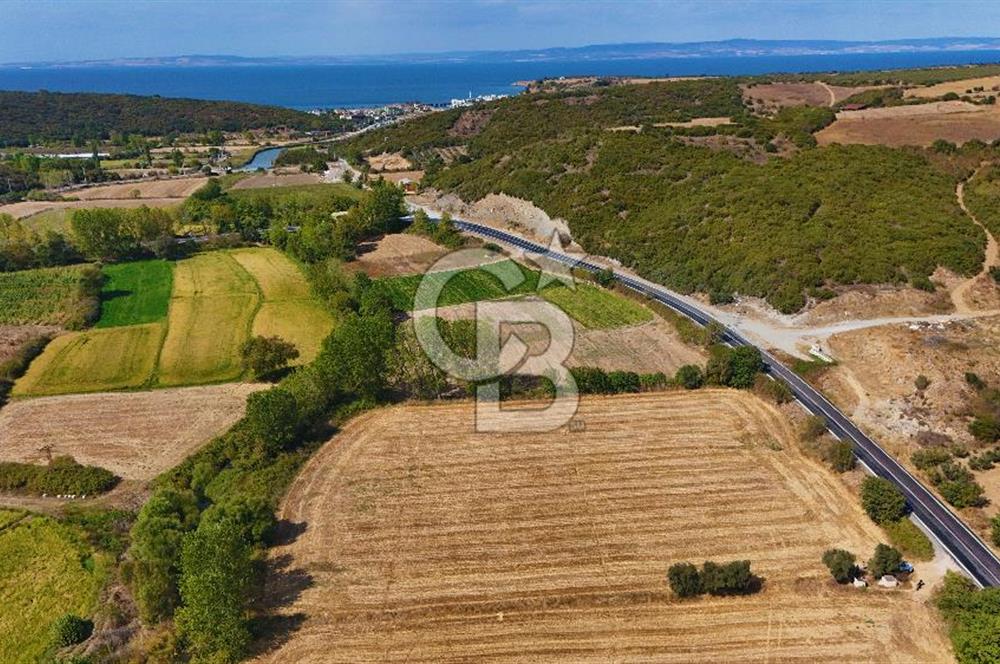 ÇANAKKALE BİGA KEMER DE YOLA CEPHE SATILIK TARLA