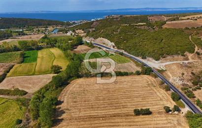 ÇANAKKALE BİGA KEMER DE YOLA CEPHE SATILIK TARLA