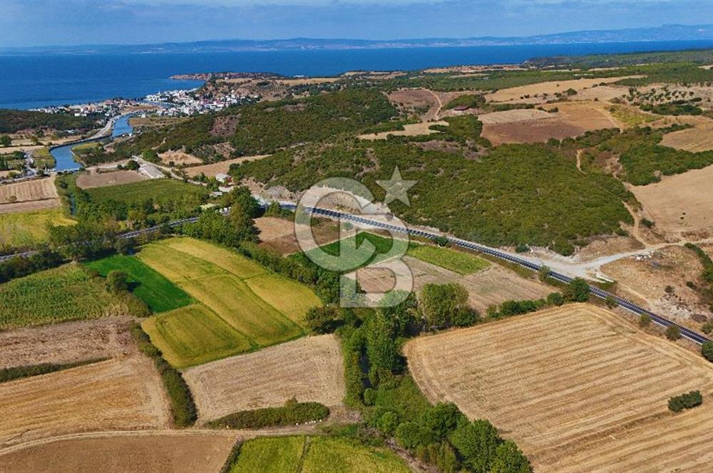 ÇANAKKALE BİGA KEMER DE YOLA CEPHE SATILIK TARLA