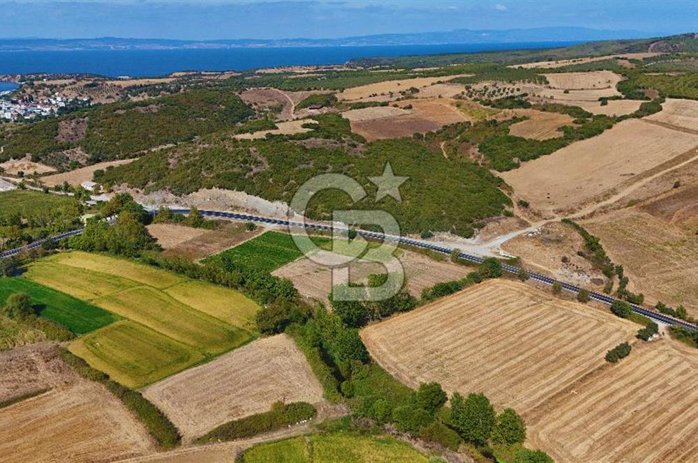 ÇANAKKALE BİGA KEMER DE YOLA CEPHE SATILIK TARLA