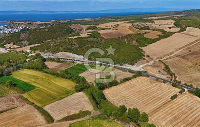 ÇANAKKALE BİGA KEMER DE YOLA CEPHE SATILIK TARLA