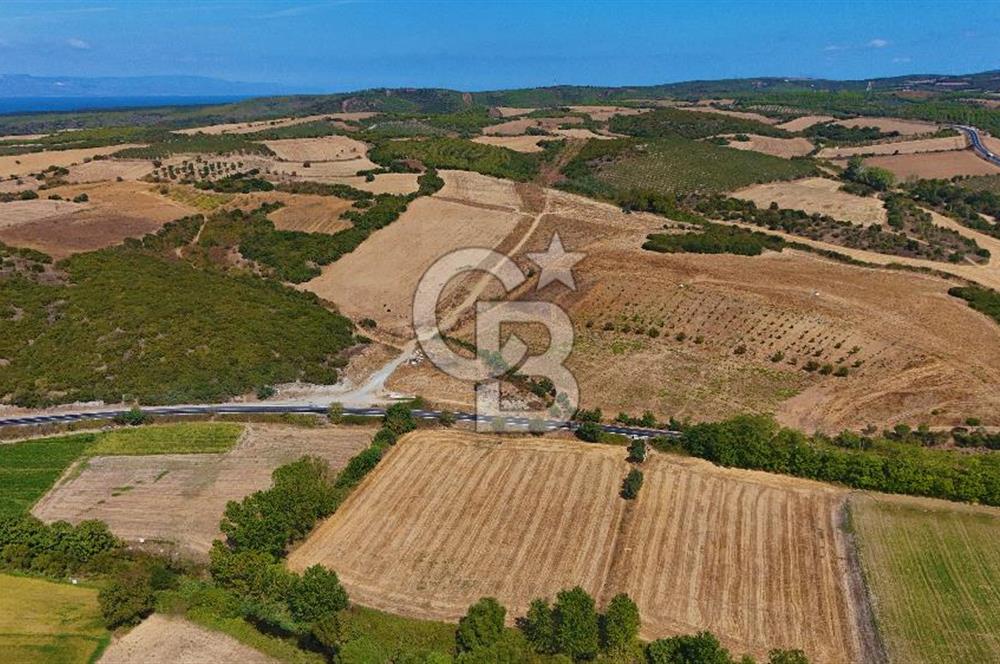 ÇANAKKALE BİGA KEMER DE YOLA CEPHE SATILIK TARLA
