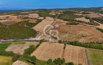 ÇANAKKALE BİGA KEMER DE YOLA CEPHE SATILIK TARLA