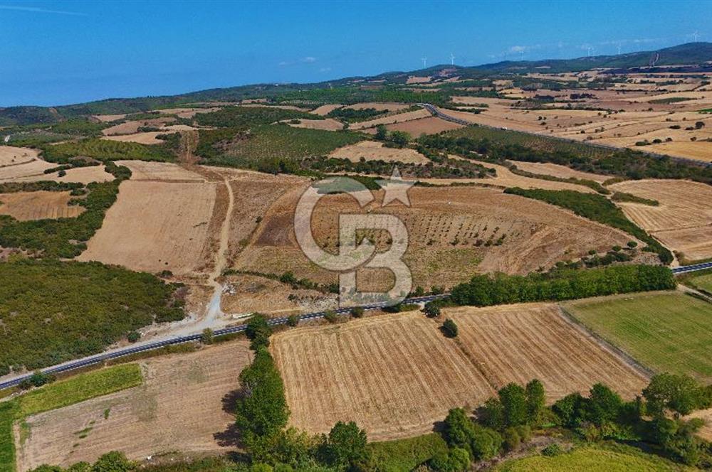 ÇANAKKALE BİGA KEMER DE YOLA CEPHE SATILIK TARLA