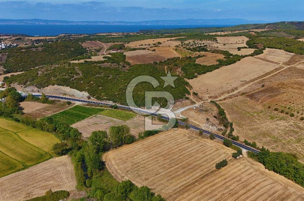 ÇANAKKALE BİGA KEMER DE YOLA CEPHE SATILIK TARLA