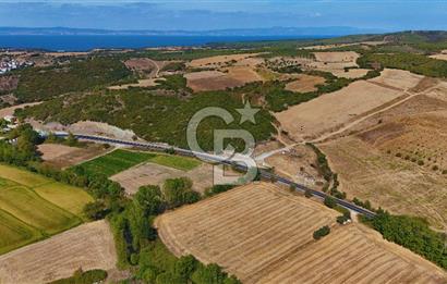 ÇANAKKALE BİGA KEMER DE YOLA CEPHE SATILIK TARLA