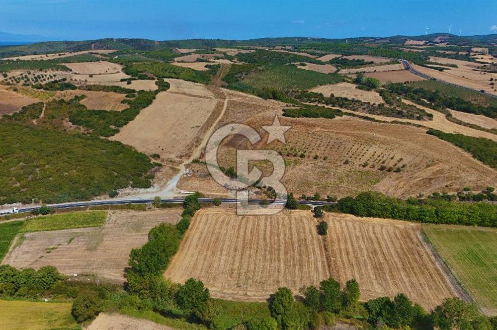 ÇANAKKALE BİGA KEMER DE YOLA CEPHE SATILIK TARLA