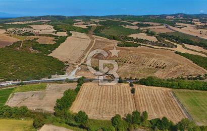 ÇANAKKALE BİGA KEMER DE YOLA CEPHE SATILIK TARLA