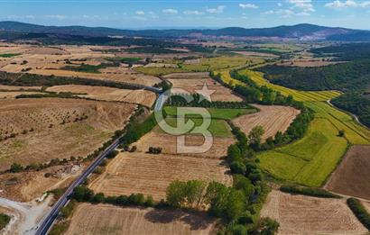ÇANAKKALE BİGA KEMER DE YOLA CEPHE SATILIK TARLA