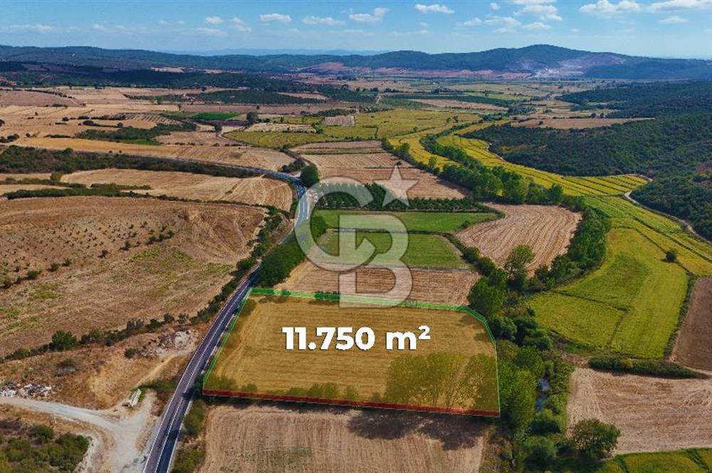 ÇANAKKALE BİGA KEMER DE YOLA CEPHE SATILIK TARLA