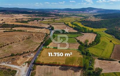 ÇANAKKALE BİGA KEMER DE YOLA CEPHE SATILIK TARLA