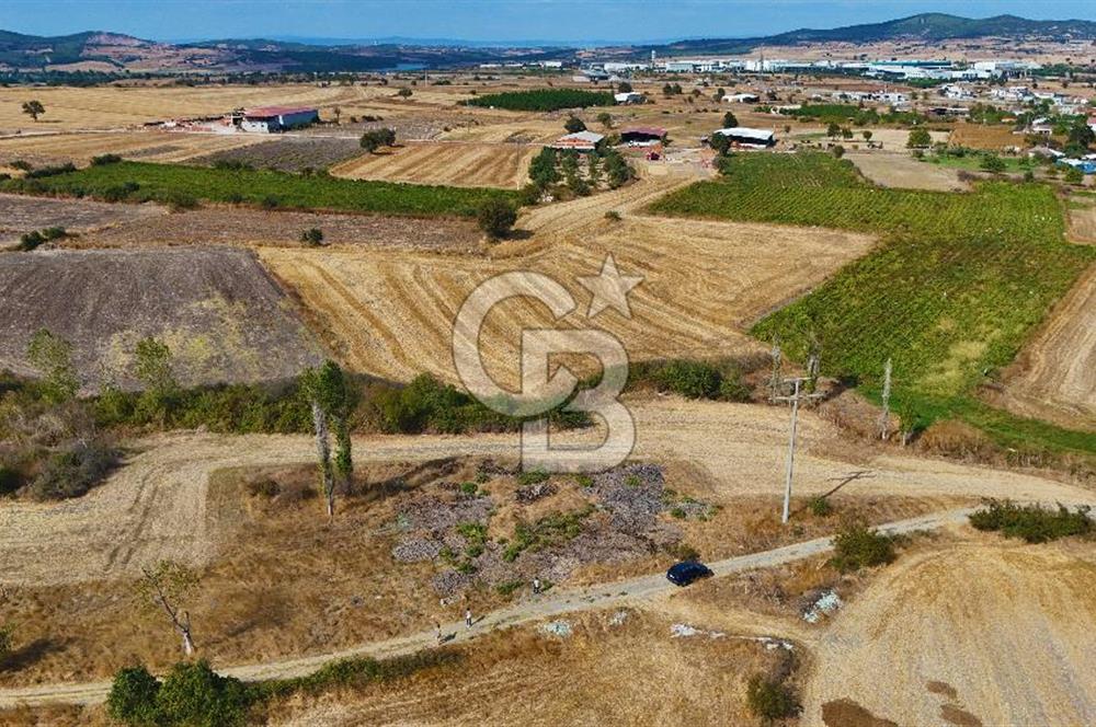 ÇANAKKALE BİGA BALIKLIÇEŞME SATILIK BAHÇE
